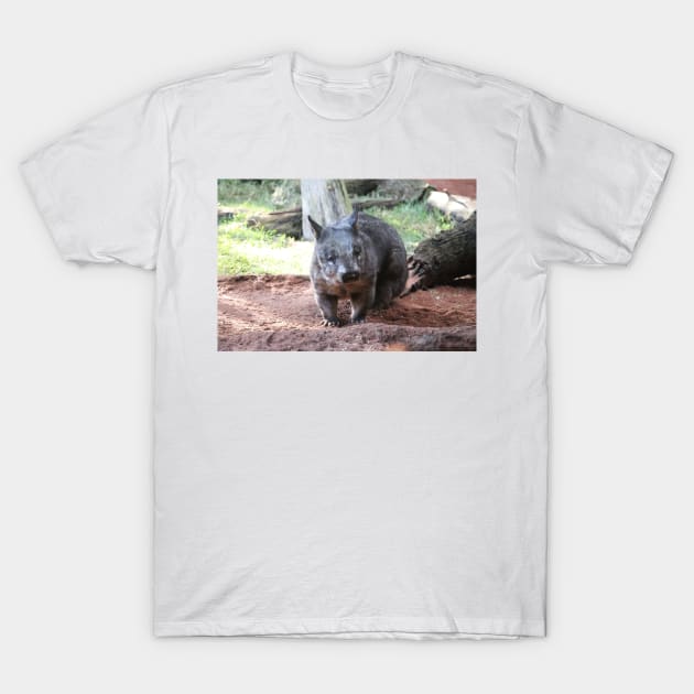 Southern Hairy-Nosed Wombat T-Shirt by LeanneAllen